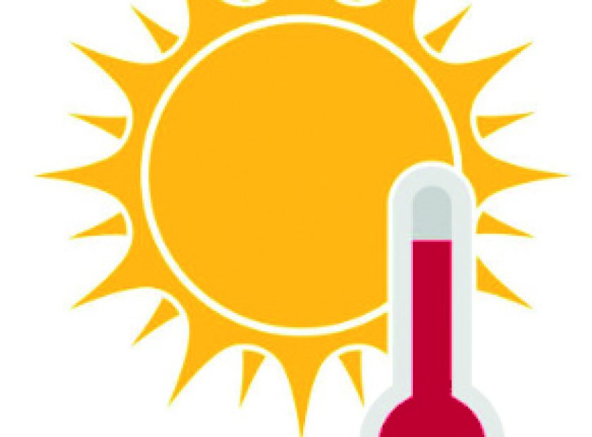 soleil canicule